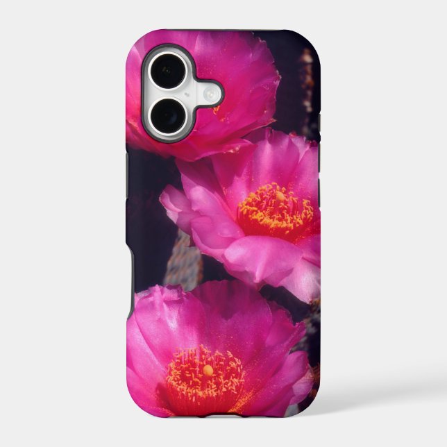 Beavertail Cactus Flowers 2 Iphone Case (Back)
