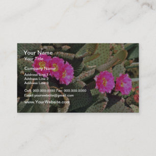 Beavertail Cactus flowers Business Card