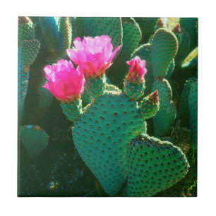 Beavertail Cactus Flowers Ceramic Tile