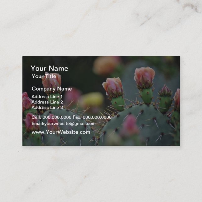 Beavertail Cactus Pink flowers Business Card (Front)
