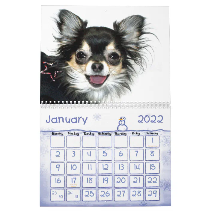 Bebe The Chihuahua 15 Calendar Zazzle Com