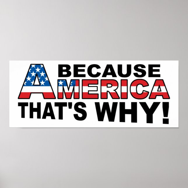 Because America Funny Poster (Front)