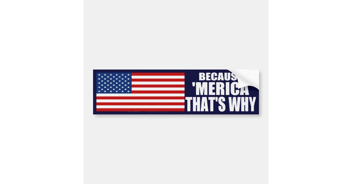 BECAUSE 'MERICA THAT'S WHY Bumper Sticker | Zazzle