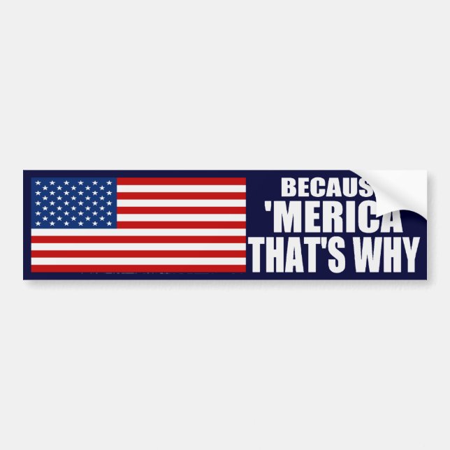 BECAUSE 'MERICA THAT'S WHY Bumper Sticker (Front)