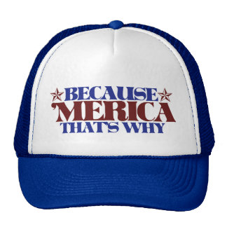 Funny 4th Of July Hats | Zazzle