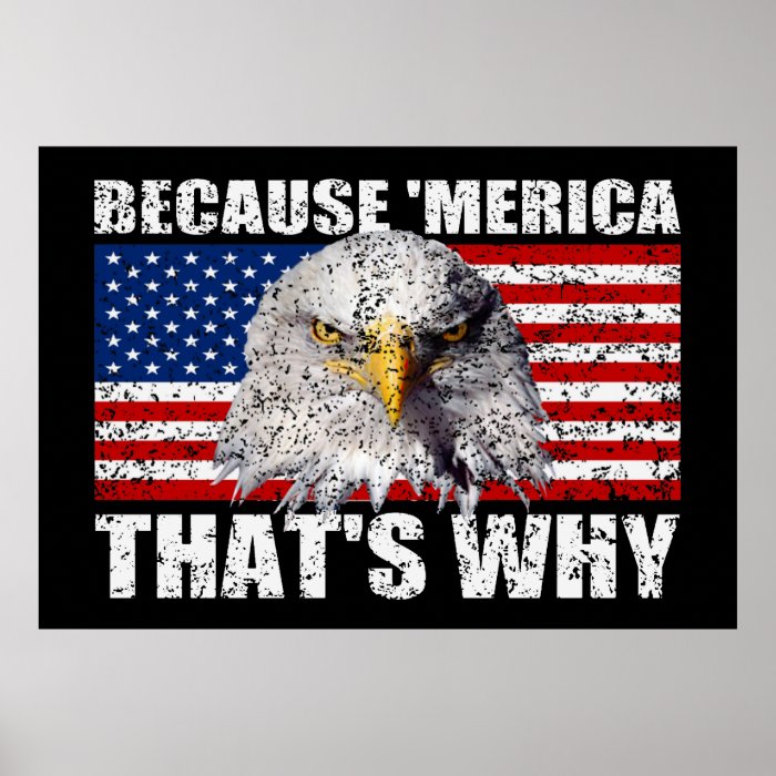 BECAUSE 'MERICA THAT'S WHY US Flag Poster (large)