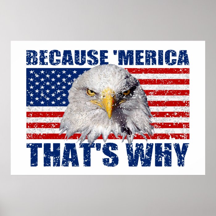 BECAUSE 'MERICA THAT'S WHY US Flag Poster (large)