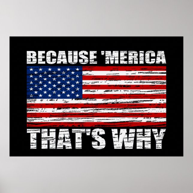 BECAUSE 'MERICA THAT'S WHY US Flag Poster (large) (Front)