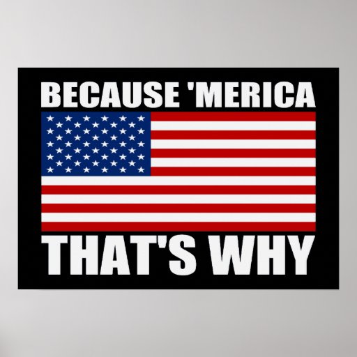 BECAUSE 'MERICA THAT'S WHY US Flag Poster (small) | Zazzle