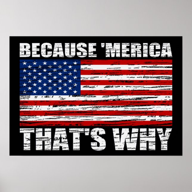 BECAUSE 'MERICA THAT'S WHY US Flag Poster (small) (Front)