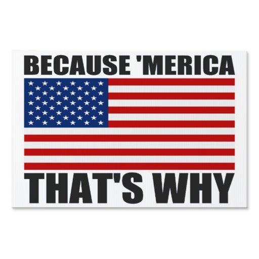 BECAUSE 'MERICA THAT'S WHY Yard Sign | Zazzle