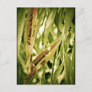 Because of you (love) postcard