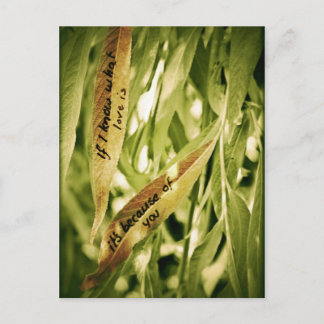 Because of you (love) postcard