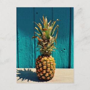 Because Pineapple Postcard