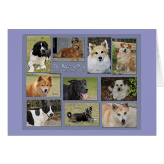 Becerra dogs - Customized Cards