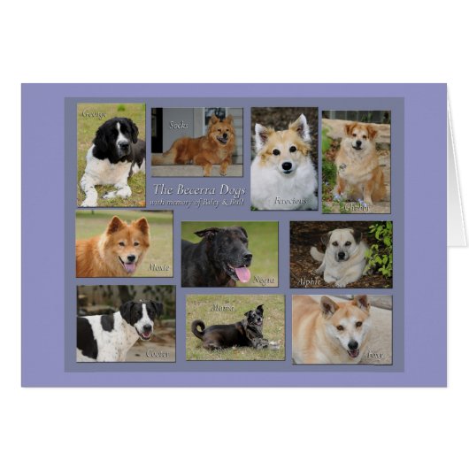 Becerra dogs - Customized Cards (Front Horizontal)
