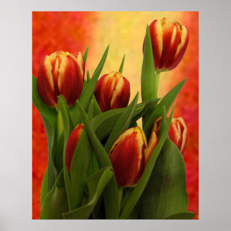 Becky's Tulips Greenville SC The MUSEUM Zazzle. Poster