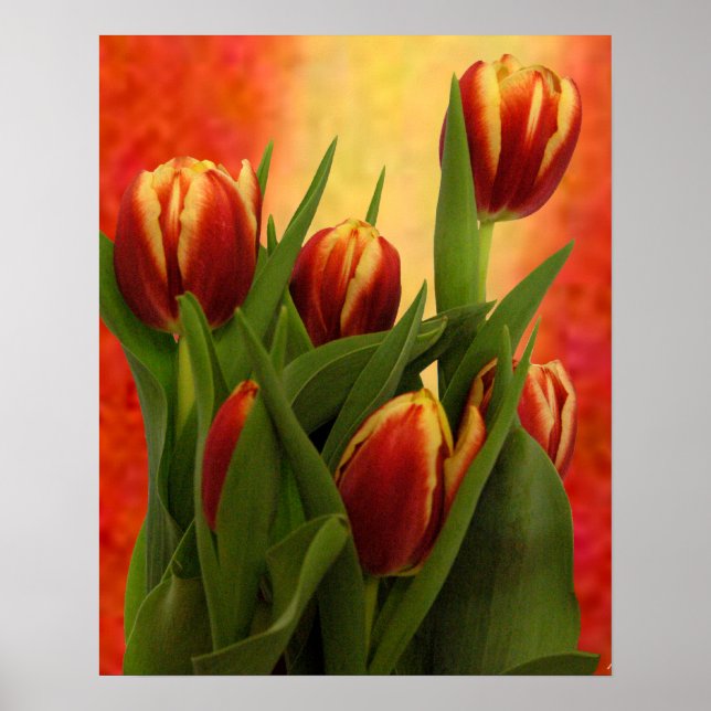 Becky's Tulips Greenville SC The MUSEUM Zazzle. Poster (Front)