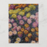 Bed of Chrysanthemums by Claude Monet Postcard<br><div class="desc">Monet - a celebration of the Masters of Art</div>