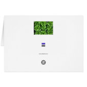 Bed of lettuce (Back Horizontal)