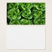 Bed of lettuce (Front & Back)