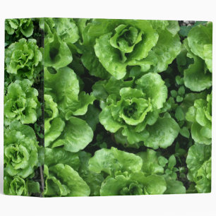 Bed of lettuce binder