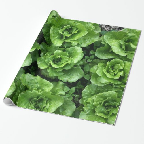 Bed of lettuce wrapping paper