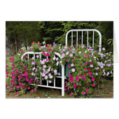 Bed of petunias (Front Horizontal)