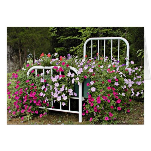Bed of petunias cards (Front Horizontal)