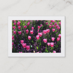 Bed of Pink Tulips (Bordered) Business Card