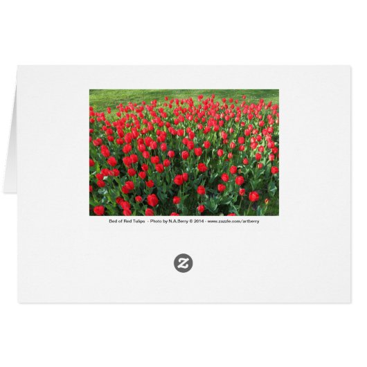 Bed of Red Tulips 01 (Back Horizontal)