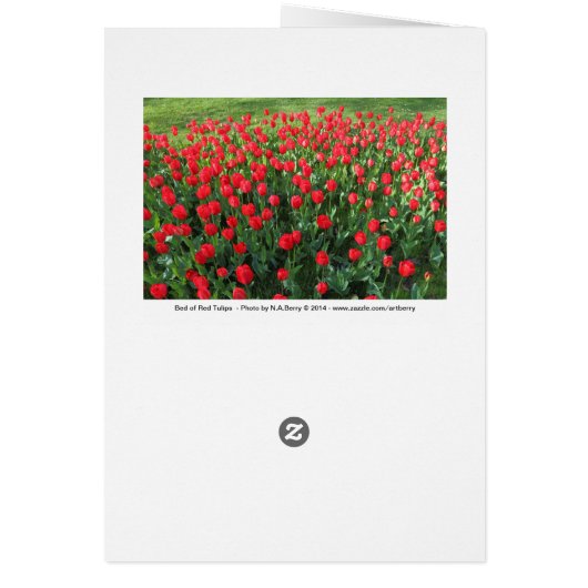 Bed of Red Tulips 01 (Back)