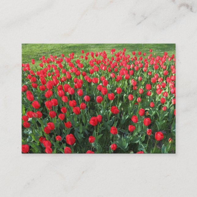 Bed of Red Tulips 01 Business Card (Front)