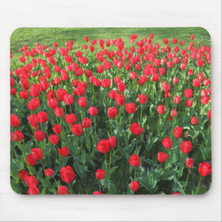 Bed of Red Tulips 01 Mouse Pad