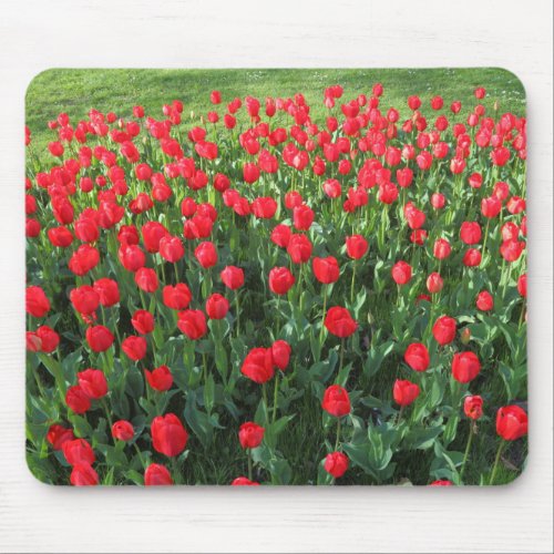 Bed of Red Tulips 01 Mouse Pad