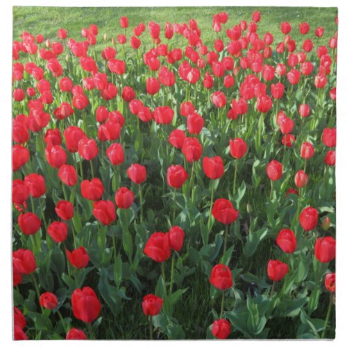 Bed of Red Tulips 01 Napkin