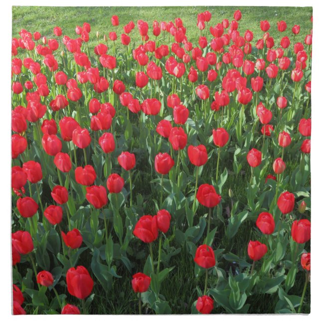Bed of Red Tulips 01 Napkin (Front)
