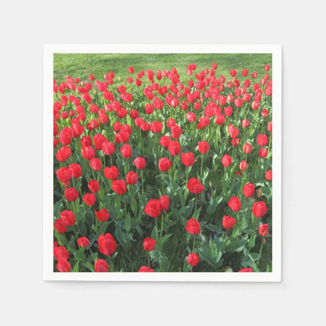 Bed of Red Tulips 01 Napkins (Front)