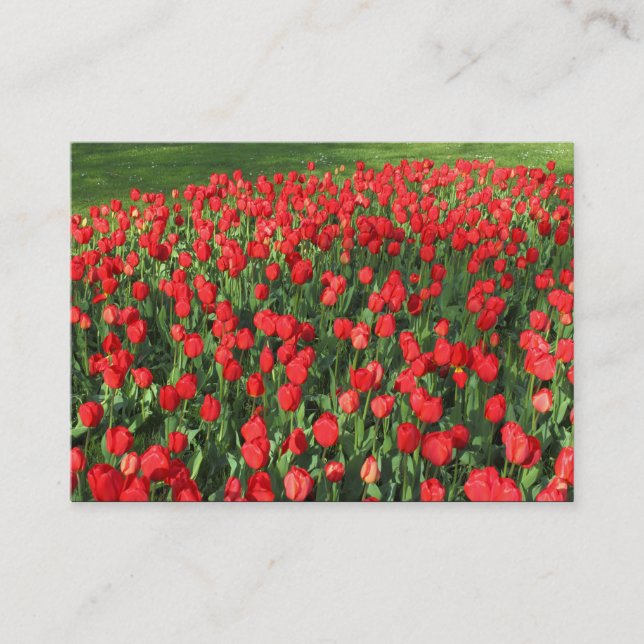 Bed of Red Tulips 02 Business Card (Front)