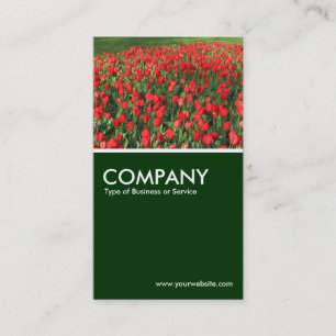 Bed of Red Tulips 02 - Dark Green Business Card