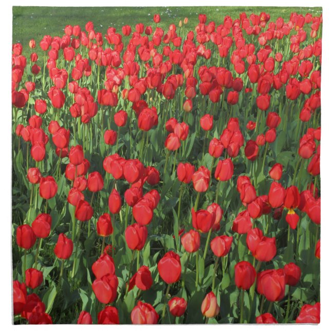 Bed of Red Tulips 02 Napkin (Front)