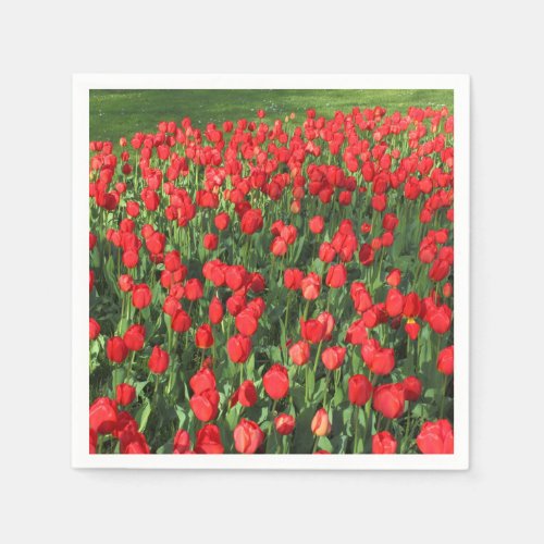 Bed of Red Tulips 02 Paper Napkins