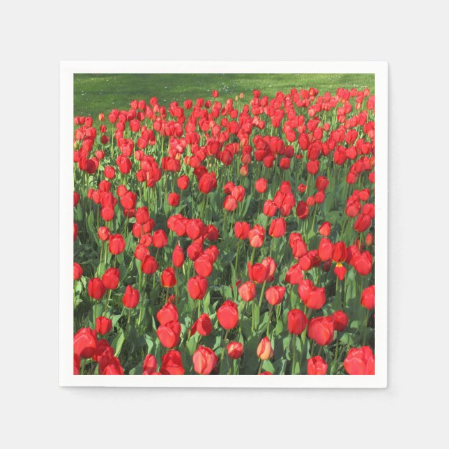 Bed of Red Tulips 02 Paper Napkins (Front)