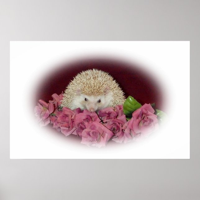 Bed of Roses Hedgehog Poster (Front)