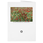 Bed of Tulips (Back)