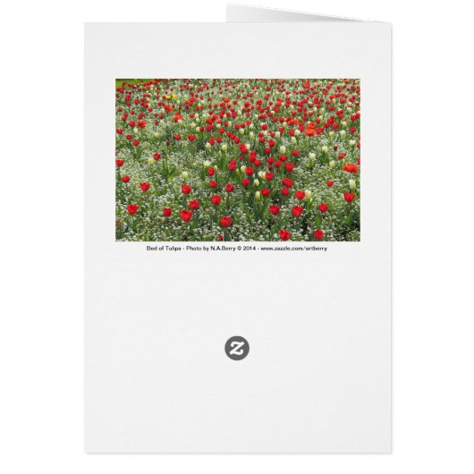 Bed of Tulips (Back)