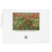 Bed of Tulips (Back Horizontal)