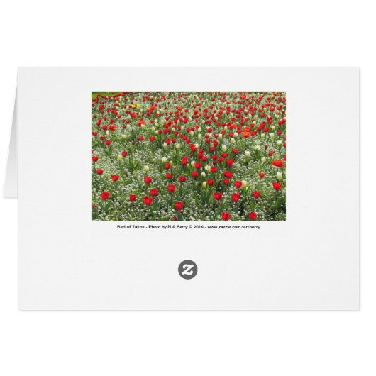 Bed of Tulips (Back Horizontal)