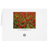 Bed of Tulips (Back Horizontal)