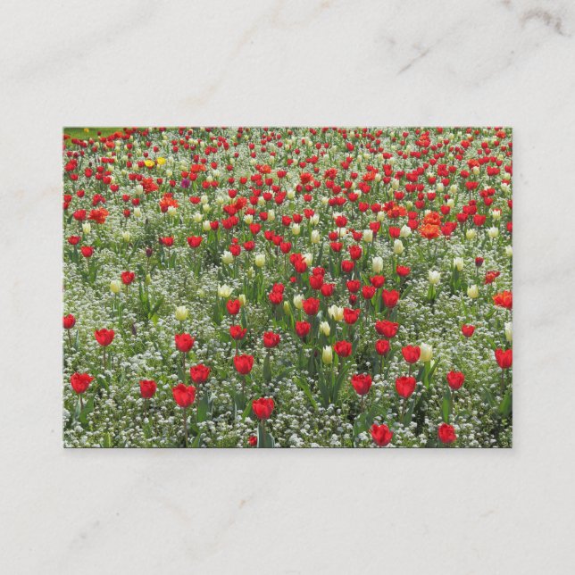 Bed of Tulips Business Card (Front)